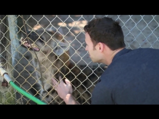 original owner surprises hyena on its teen birthday bryan hawn